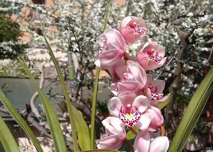 Apartment Vicino Metro Per Centro E Vaticano - Il Giardino Dell'eden 10